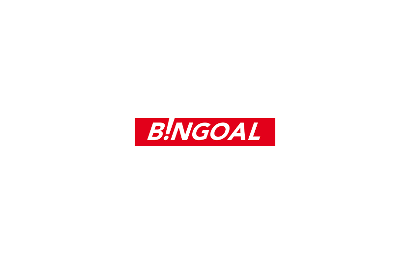 Обзор Bingoal